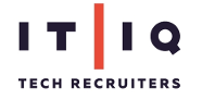 IT/IQ Tech Recruiters logo